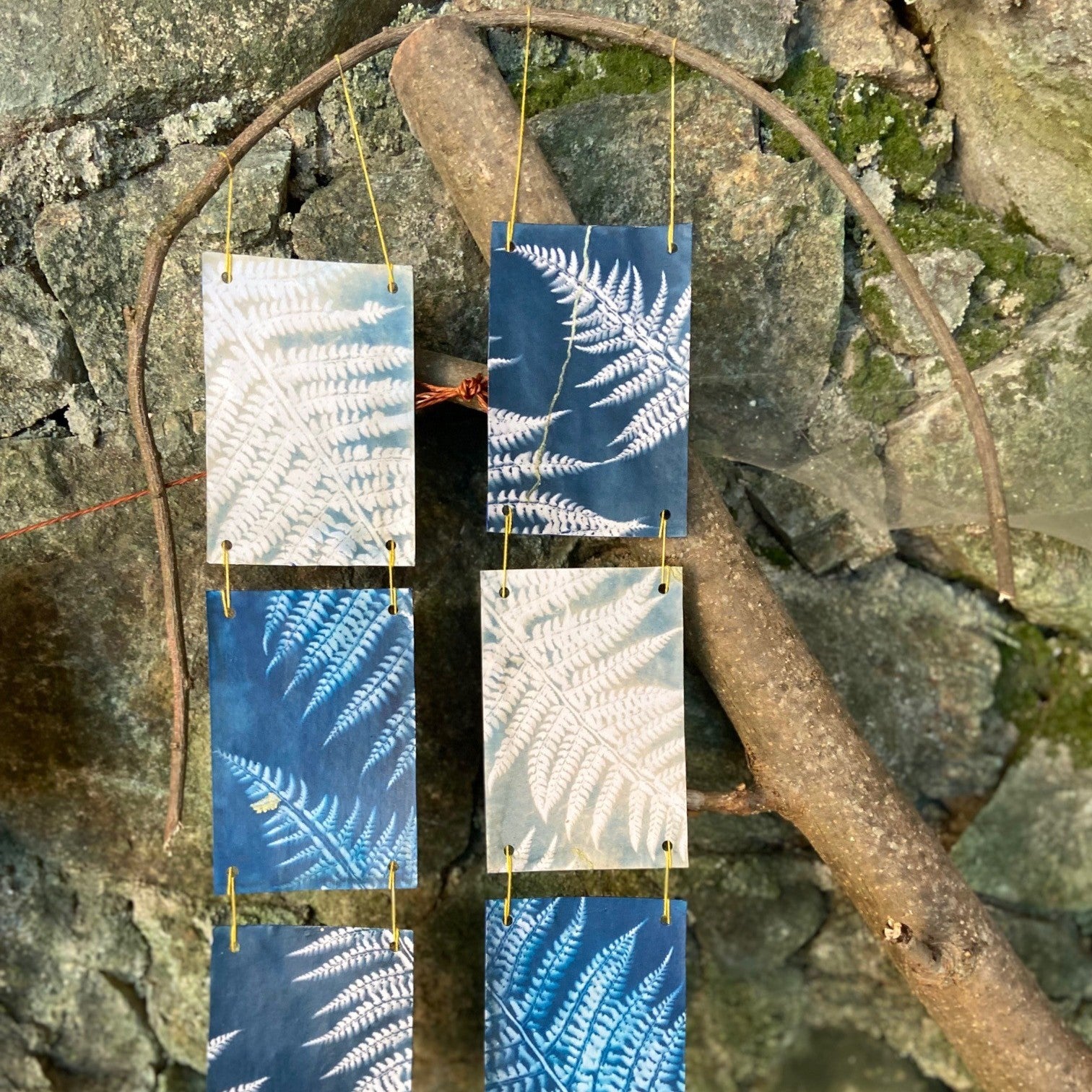 Artist workshops: Cyanotype botanicals with Simone Rudolphi